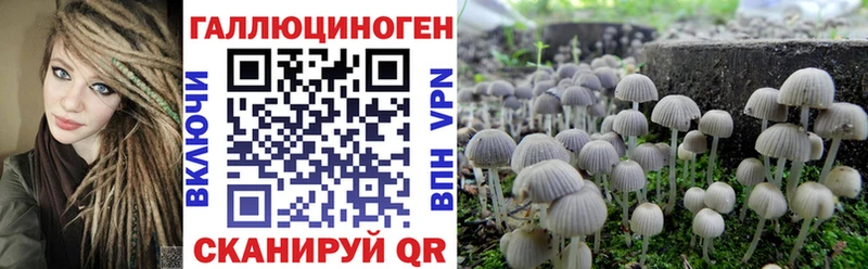 blacksprut как войти  сколько стоит  Великие Луки  Галлюциногенные грибы MAGIC MUSHROOMS 