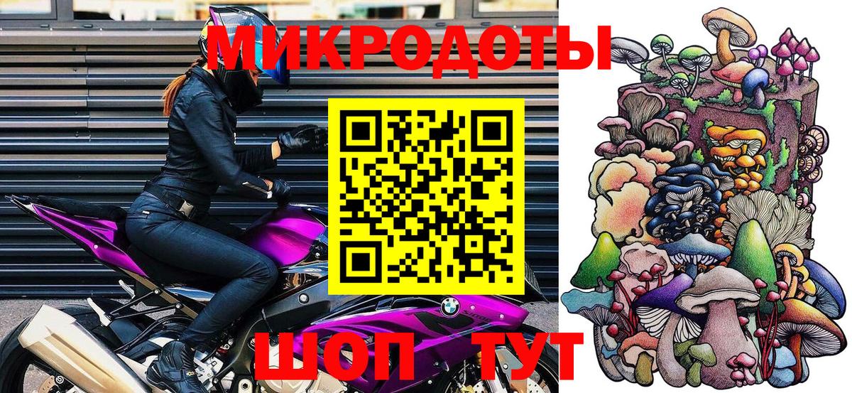 Галлюциногенные грибы Psilocybe Великие Луки